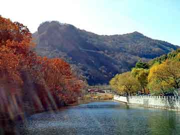 澳门期期准免费精准，岳池seo营销